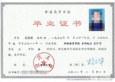 重庆渝鹏教育咨询 专业导航，助力学子规划卓越未来