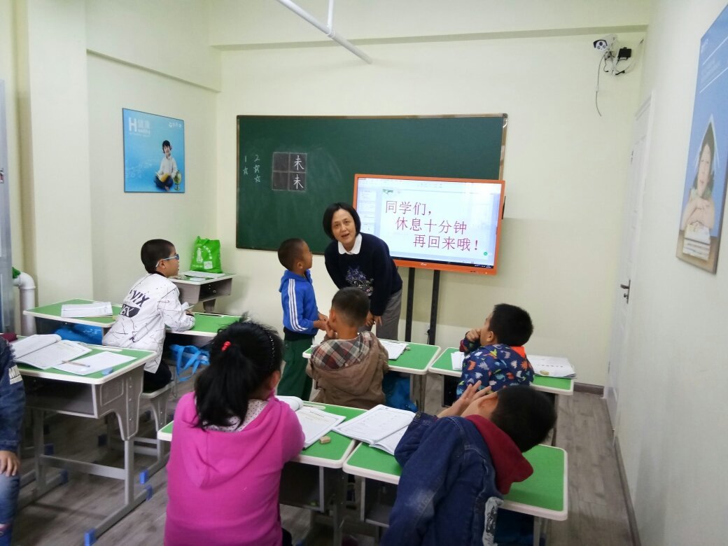 宁波青果教育咨询 引领未来，点亮梦想的教育指南